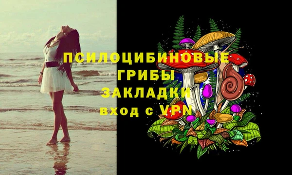 марки lsd Вяземский