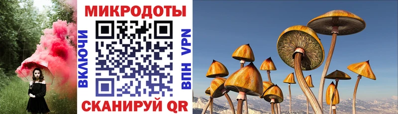Псилоцибиновые грибы Psilocybe  Купить  Чусовой 